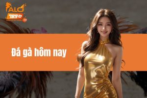 Đá gà hôm nay có gì? Danh sách các trận đấu gay cấn