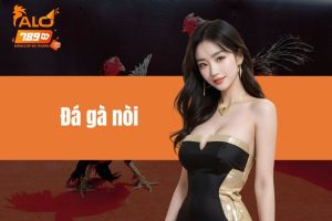 Đá gà nòi là gì? Khám phá nét đặc trưng của gà nòi Việt Nam