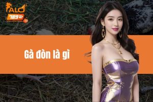 Gà đòn là gì - Tìm hiểu về dòng gà chọi được ưa chuộng nhất